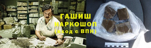 гашик Алексин