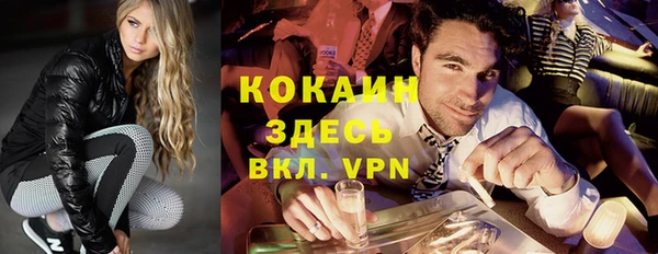 гашик Алексин