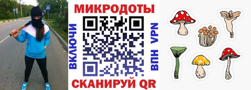 Галлюциногенные грибы мухоморы  наркотики  Баймак 